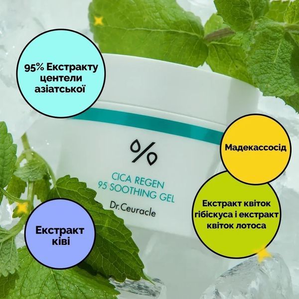 Успокаивающий гель для лица с центеллой азиатской Dr.Ceuracle Сica Regen 95 Soothing Gel 232342352134532 фото