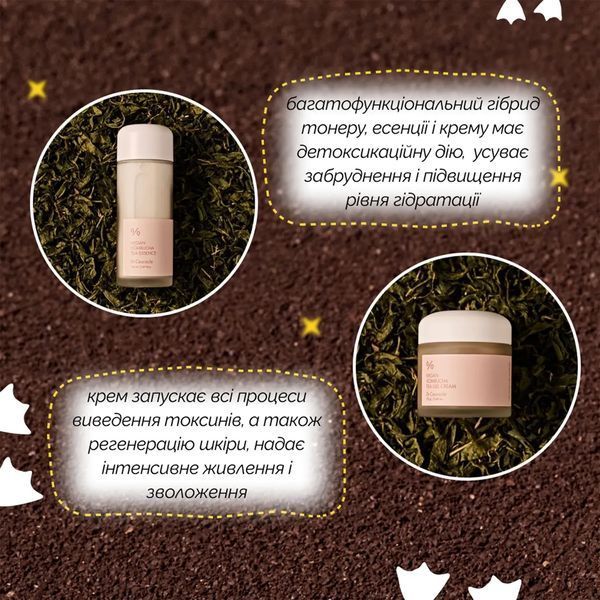 Веганський набір для догляду за шкірою з комбучею Dr.Ceuracle Vegan Kombucha Beginning Set eertbse фото