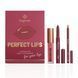 ПОДАРУНКОВИЙ НАБІР PERFECT LIPS 3-PRODUCT SET BOGENIA BG150 №003 2546807943 фото 2