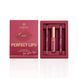 ПОДАРУНКОВИЙ НАБІР PERFECT LIPS 3-PRODUCT SET BOGENIA BG150 №003 2546807943 фото 1